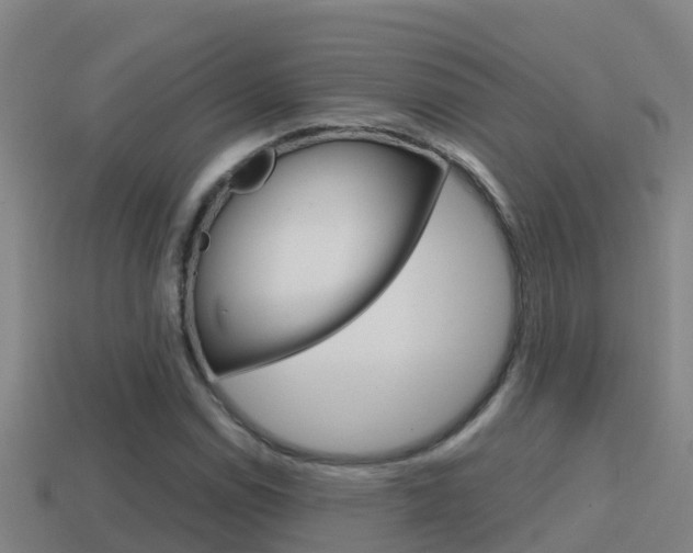 X0000114621114200910200956