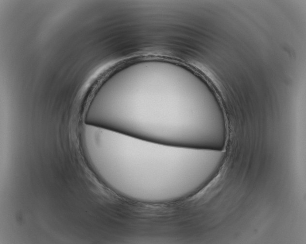 X0000114621115200910200956