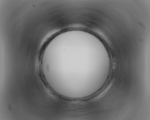 X0000114621117200910200956