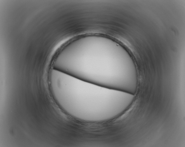 X0000114621119200910200956