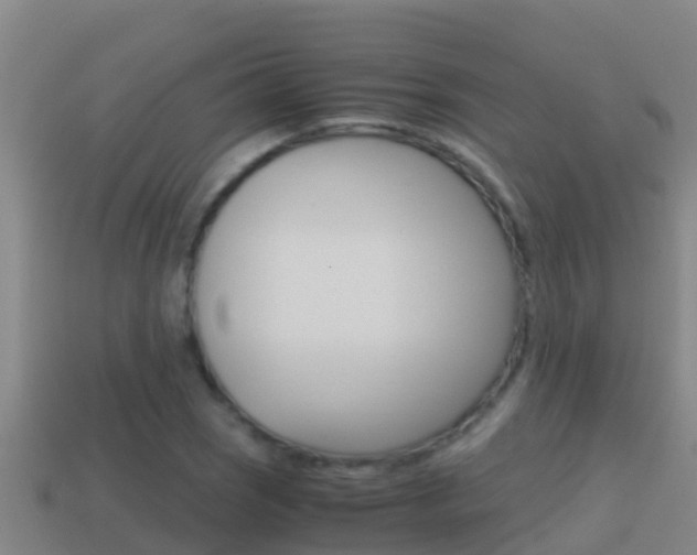 X0000114621121200910200956