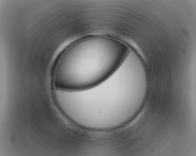 X0000114621122200910200956