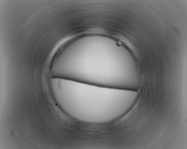 X0000114621123200910200956