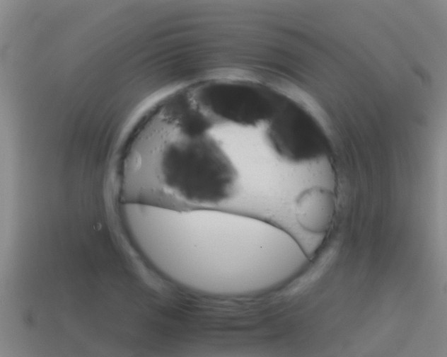 X0000114621125200910200956
