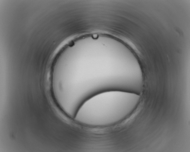 X0000114621126200910200956
