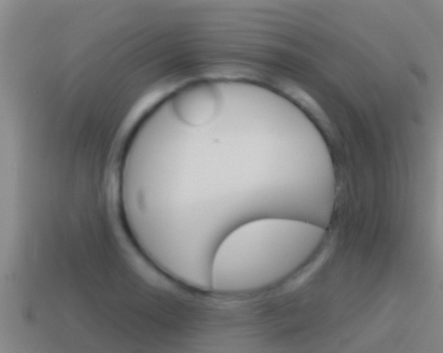 X0000114621130200910200956