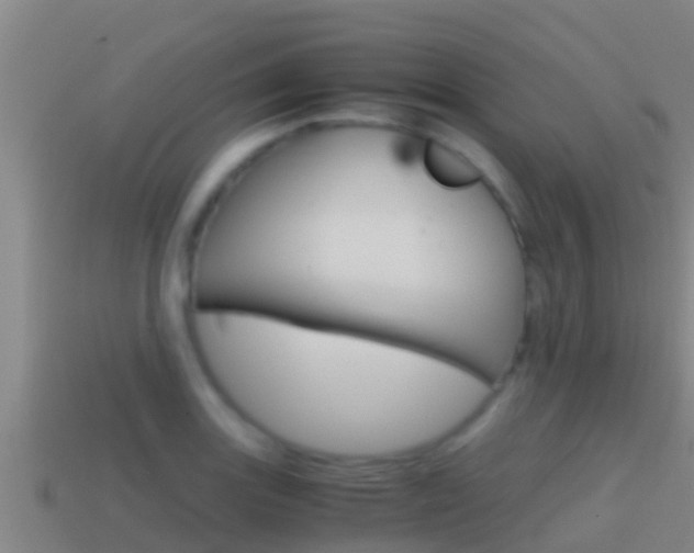 X0000114621131200910200956