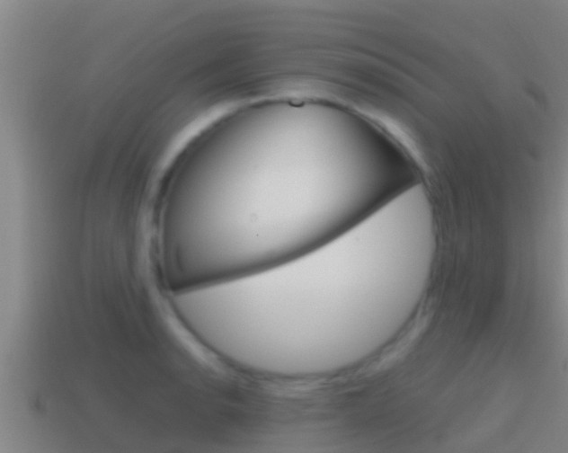 X0000114621134200910200956