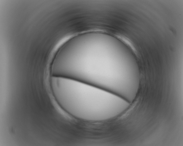 X0000114621135200910200956
