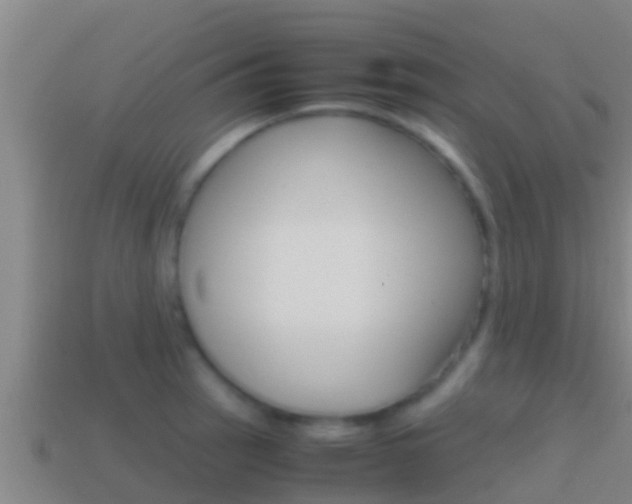 X0000114621137200910200956