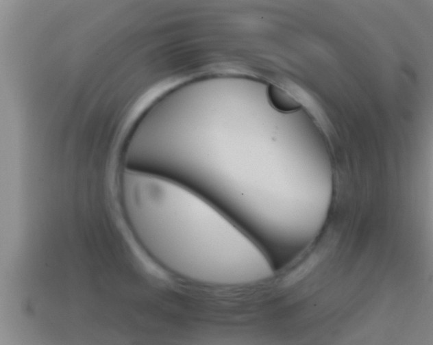 X0000114621141200910200956
