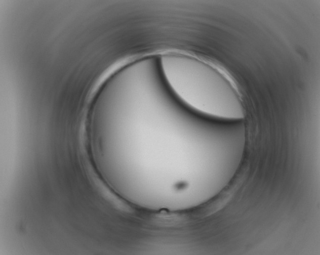 X0000114621142200910200956