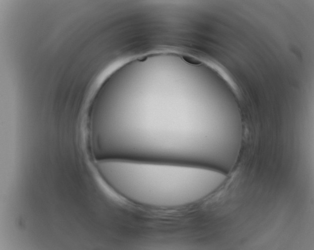 X0000114621143200910200956
