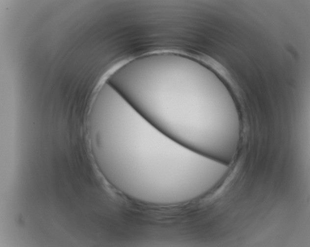 X0000114621145200910200956