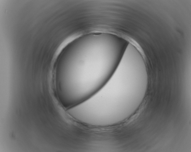 X0000114621146200910200956