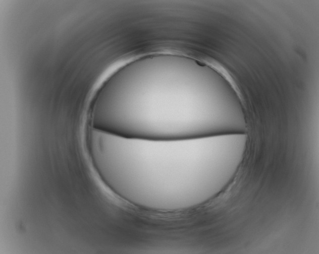 X0000114621147200910200956
