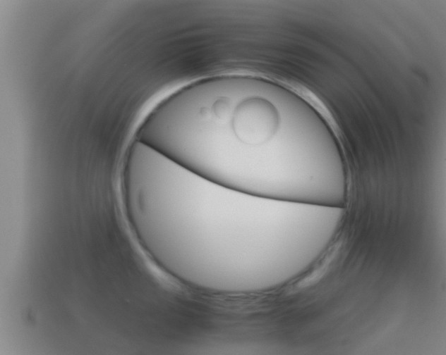 X0000114621149200910200956