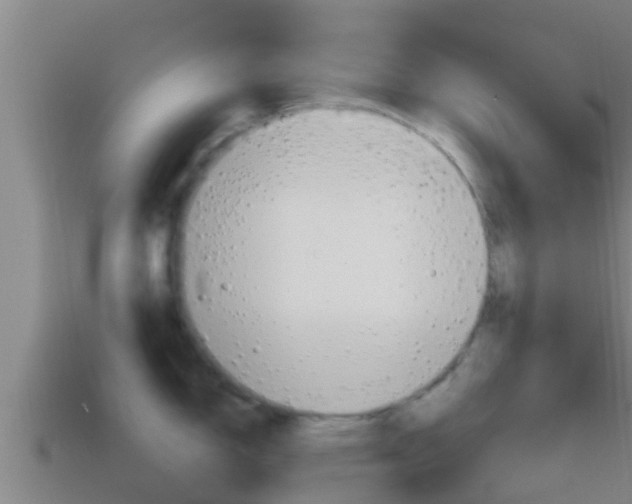 X0000114621150200910200956
