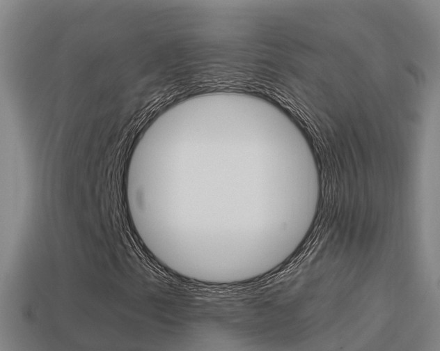 X0000114621153200910200956