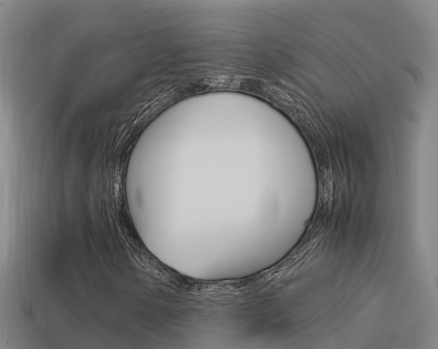 X0000114621154200910200956