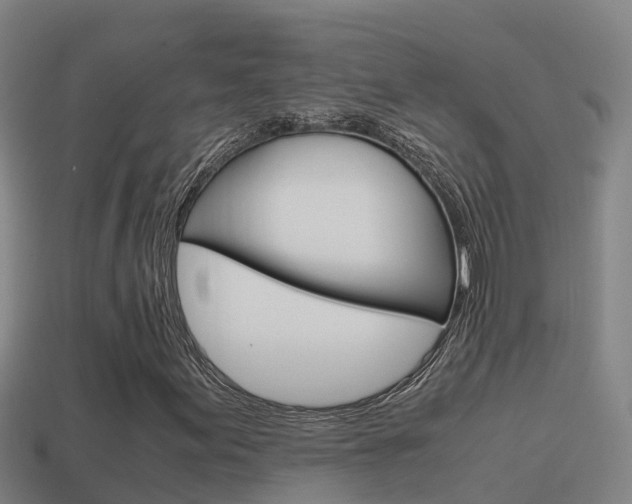 X0000114621155200910200956