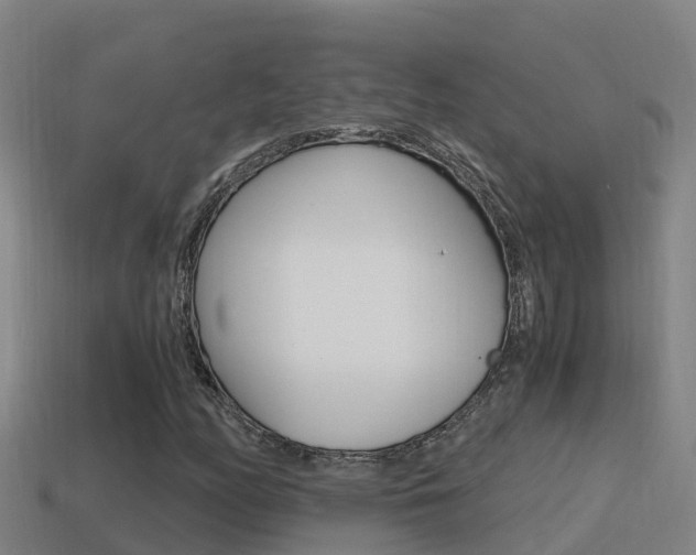 X0000114621158200910200956