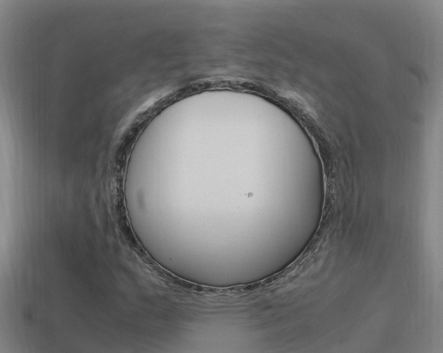 X0000114621159200910200956