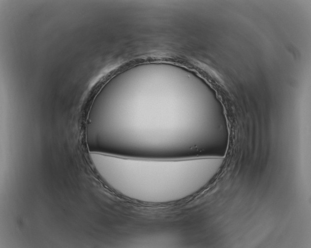 X0000114621160200910200956