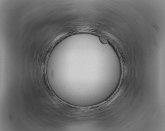X0000114621161200910200956