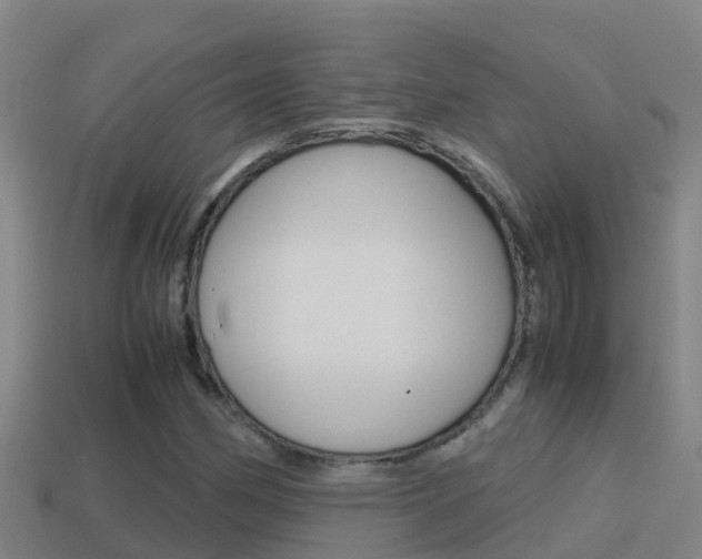 X0000114621162200910200956