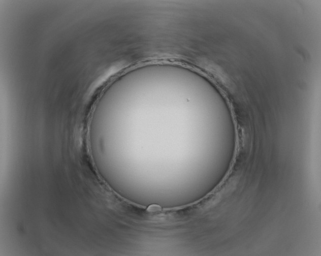 X0000114621165200910200955