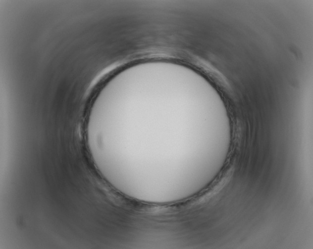 X0000114621166200910200955
