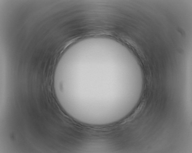 X0000114621169200910200955