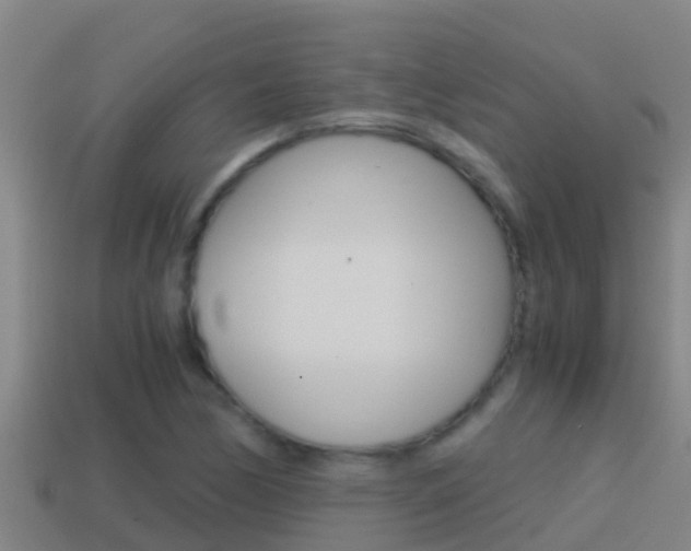 X0000114621170200910200955