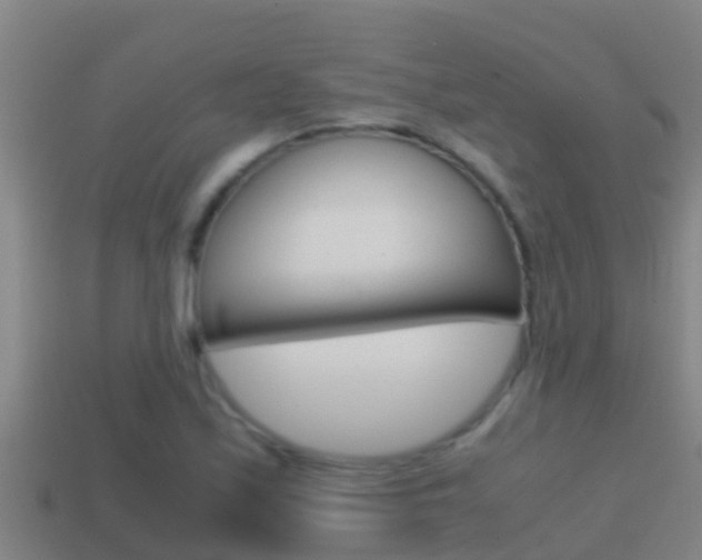 X0000114621171200910200955