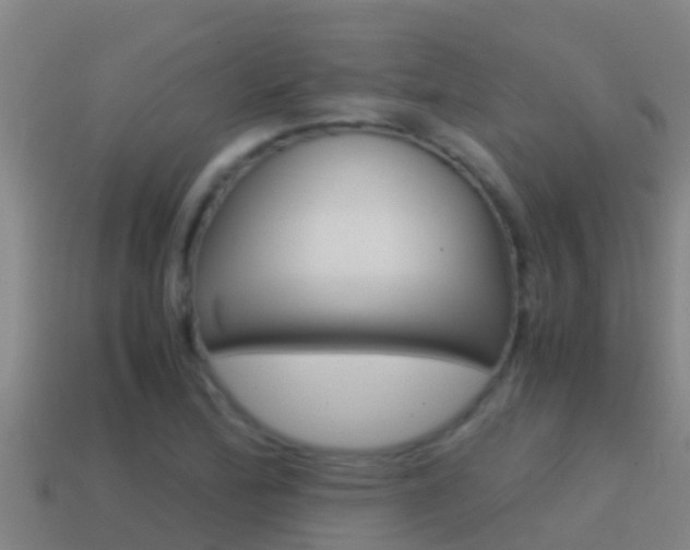 X0000114621172200910200955
