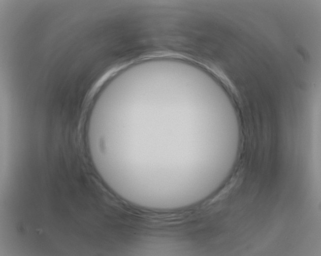 X0000114621173200910200955