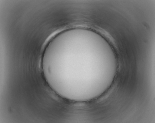 X0000114621174200910200955