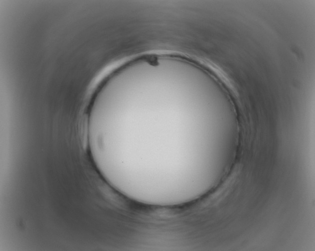 X0000114621175200910200955