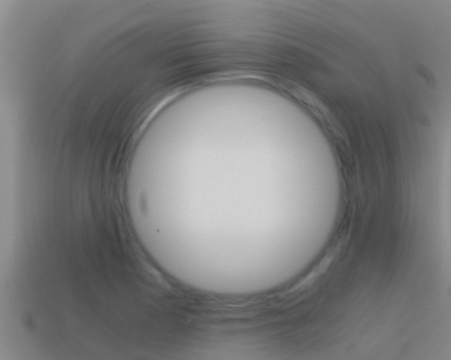 X0000114621177200910200955