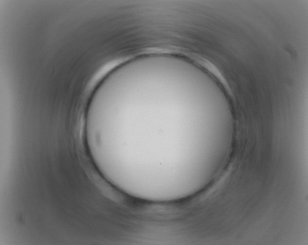 X0000114621179200910200955