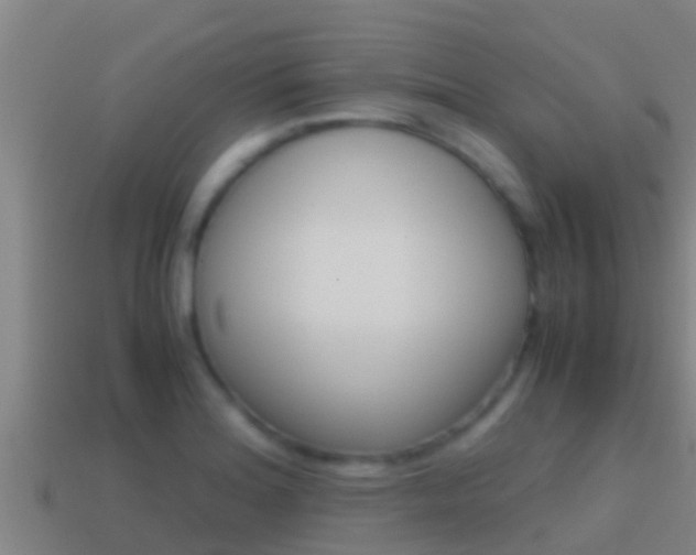 X0000114621180200910200955