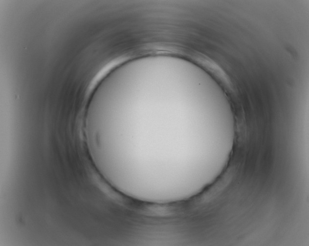 X0000114621182200910200955