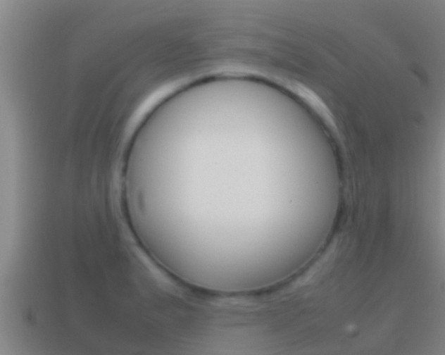 X0000114621183200910200955