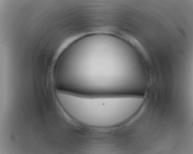 X0000114621184200910200955
