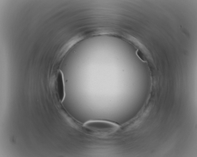 X0000114621185200910200955