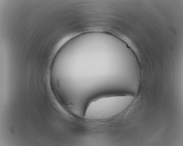 X0000114621187200910200955