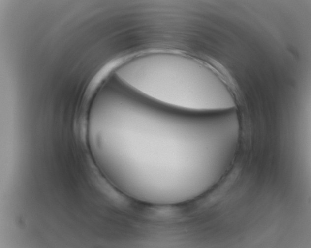 X0000114621188200910200955
