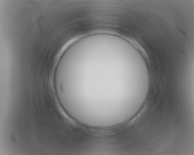 X0000114621189200910200955