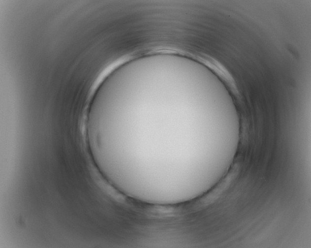 X0000114621190200910200955
